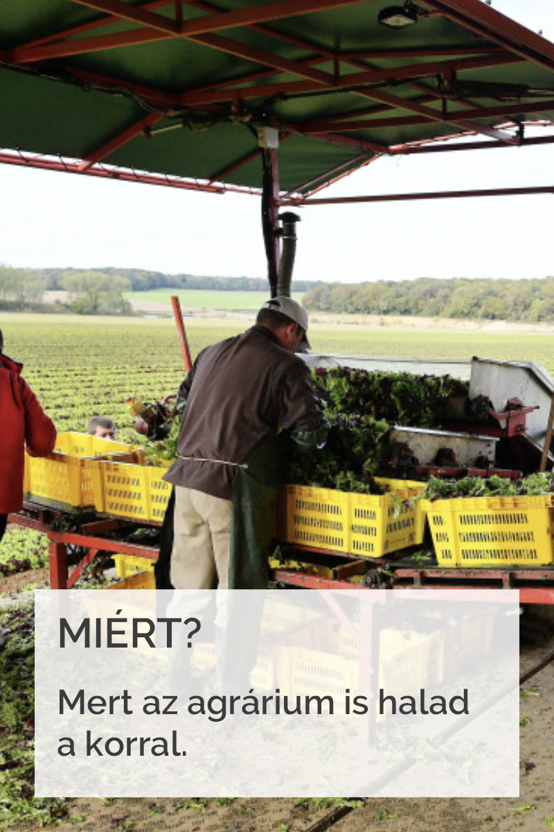 images/Miert/miert2.jpg#joomlaImage://local-images/Miert/miert2.jpg?width=800&height=1200